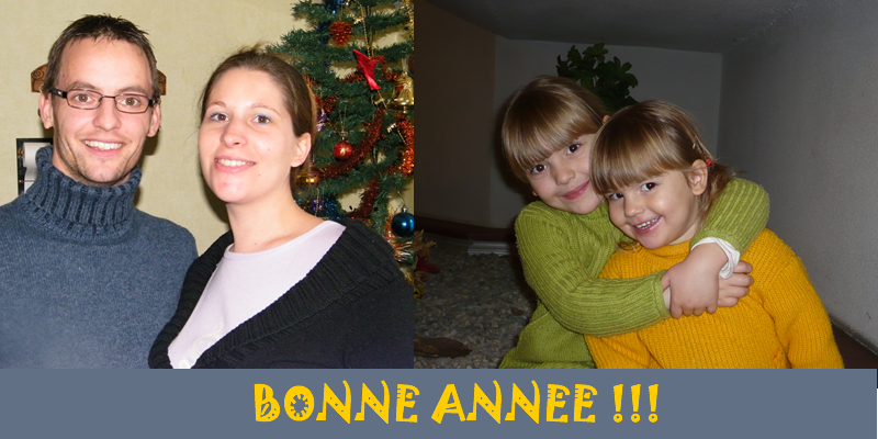Bonne année 2009 !
