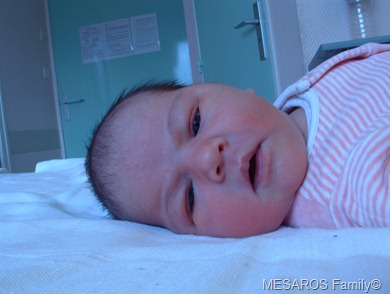 Mars 2006 038